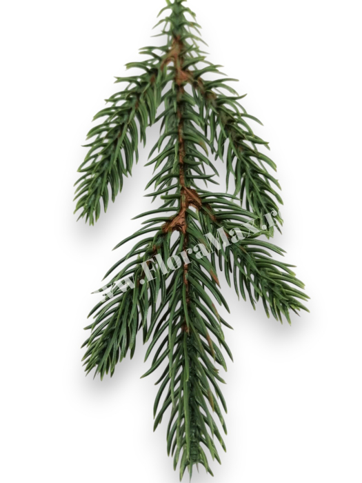 Crenguta brad verde 22 cm cu 5 ramificatii pentru aranjamente Craciun [3]