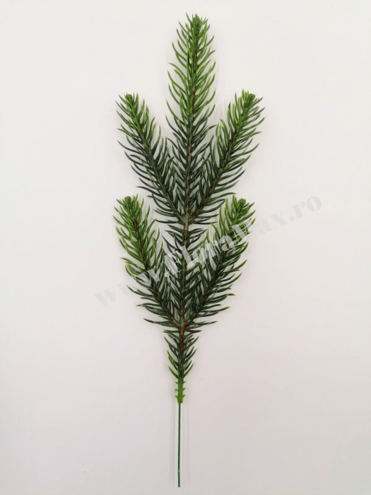 Crenguta brad verde pentru aranjamente Craciun cu 5 ramificatii 22 cm [2]
