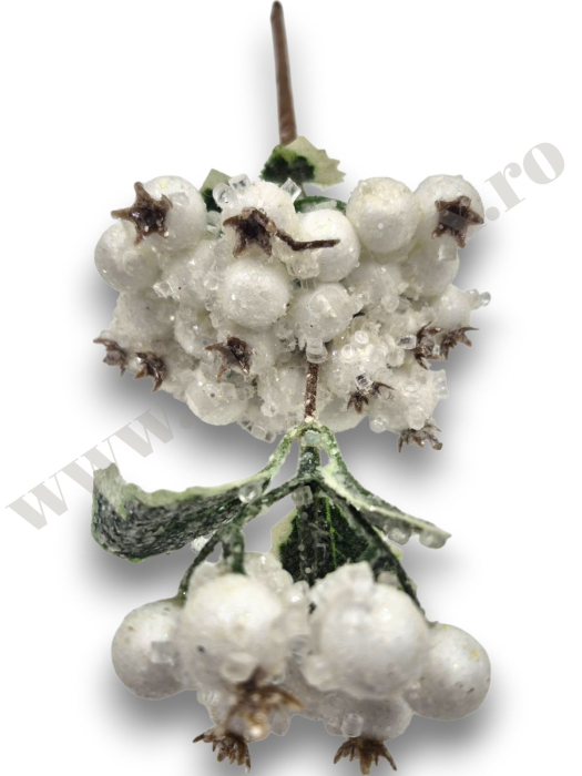 crenguta-macese-inghetate-albe-30cm-floramax [2]
