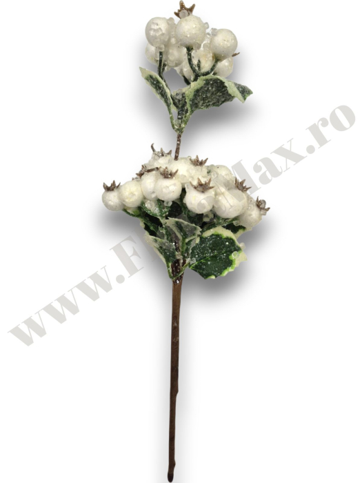 crenguta-macese-inghetate-albe-30cm-floramax [3]