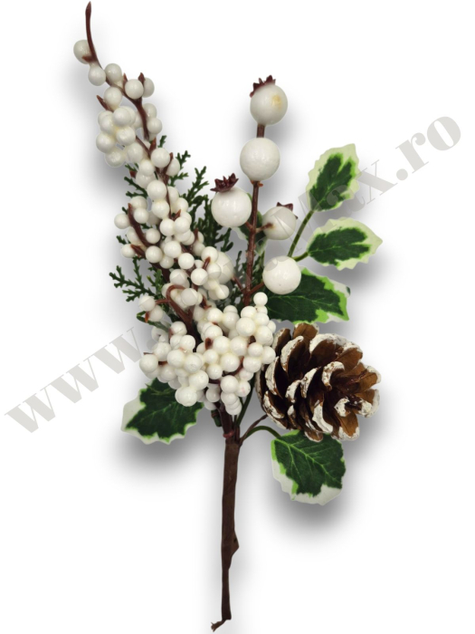 crenguta-craciun-bilute-albe-macese-con-24cm-floramax [3]