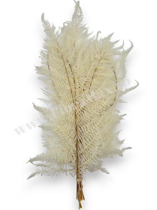 feriga-stabilizata-alb-ivory-10-fire-40-50cm [3]
