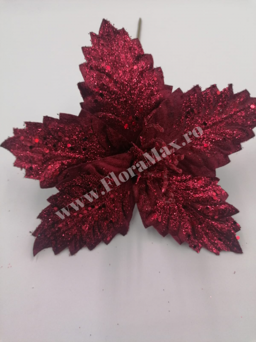 Floare Craciun craciunita bordeaux 20 cm [3]