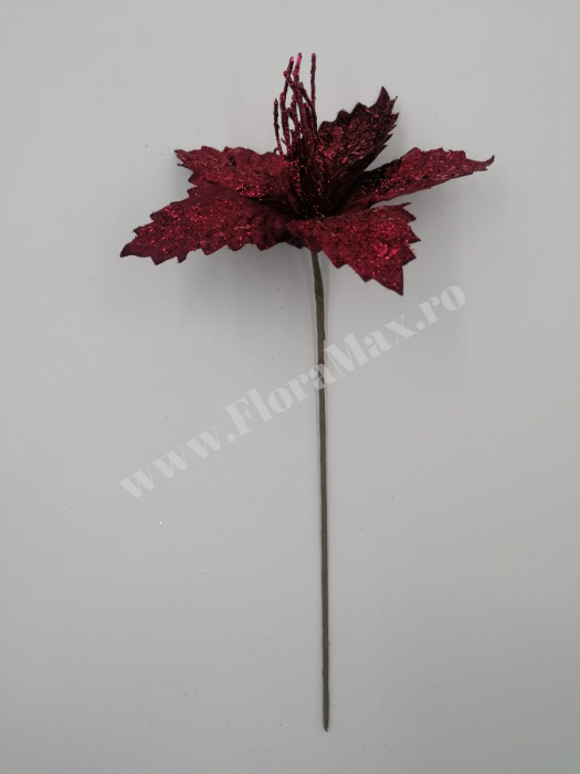 Floare Craciun craciunita bordeaux 20 cm [2]