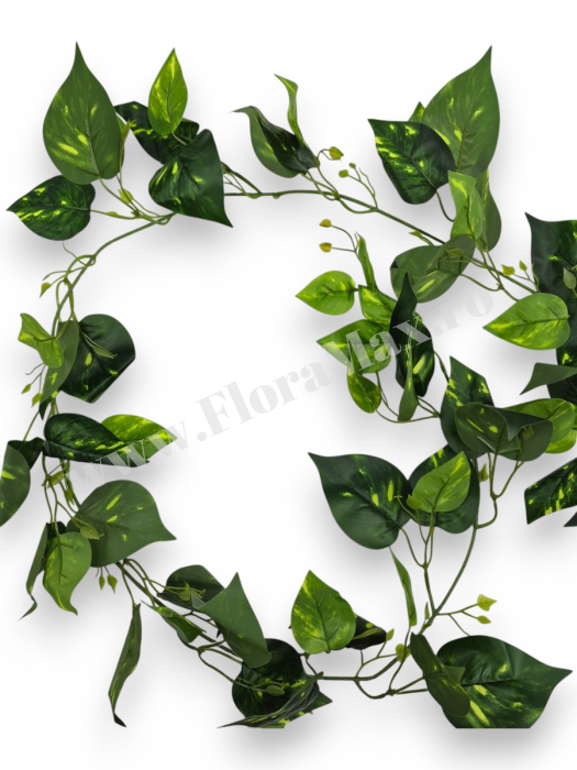 Ghirlanda Frunze Silicon Verde 210 cm [2]