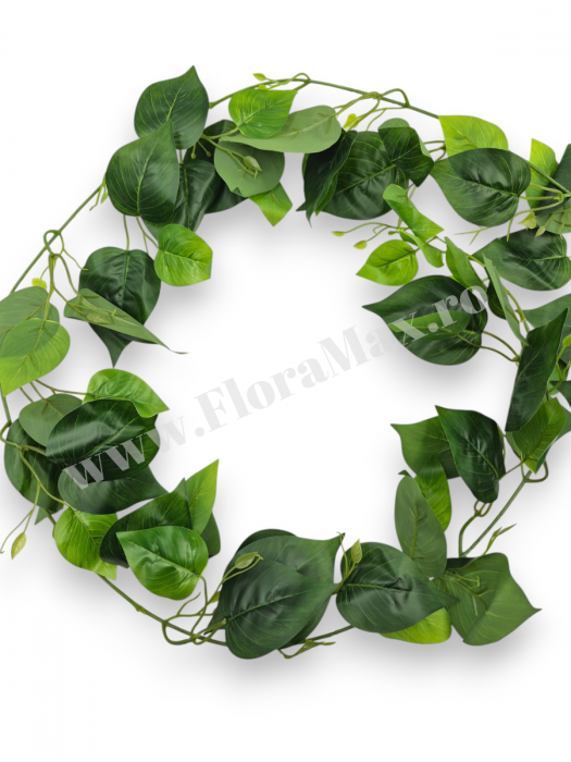 Ghirlanda Frunze Silicon Verde 210 cm [2]