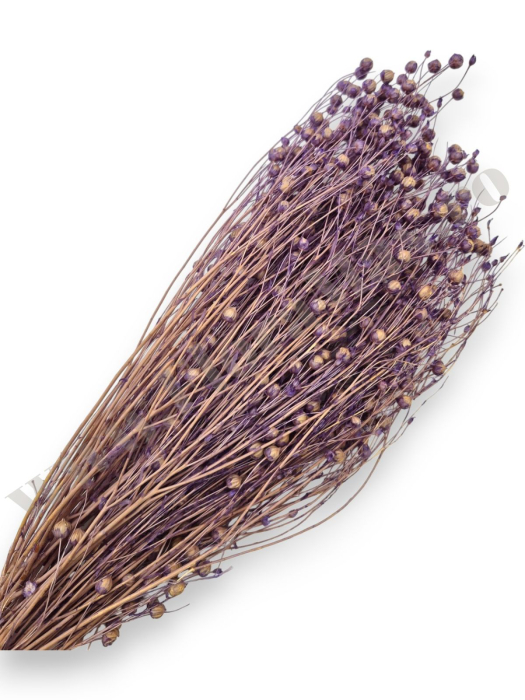 In ( Lino ) LAVANDA 100 grame [2]