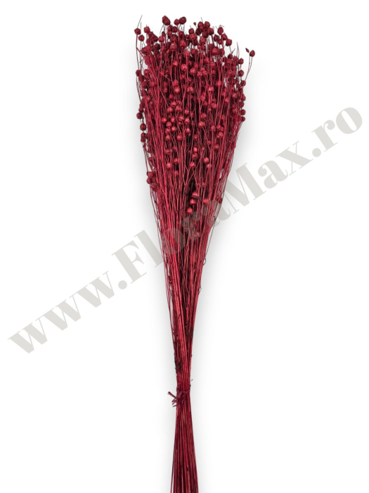In ( Lino ) ROSU 100 grame [2]