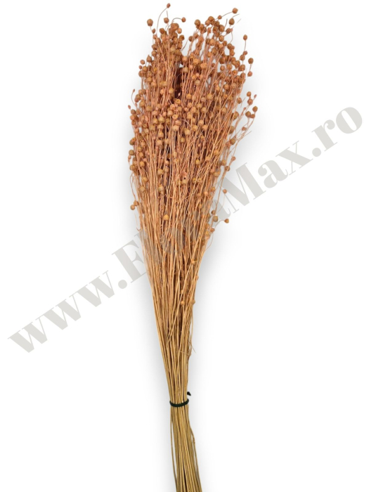 In (Lino) calitate premium flori uscate invitatii nunta botez [2]