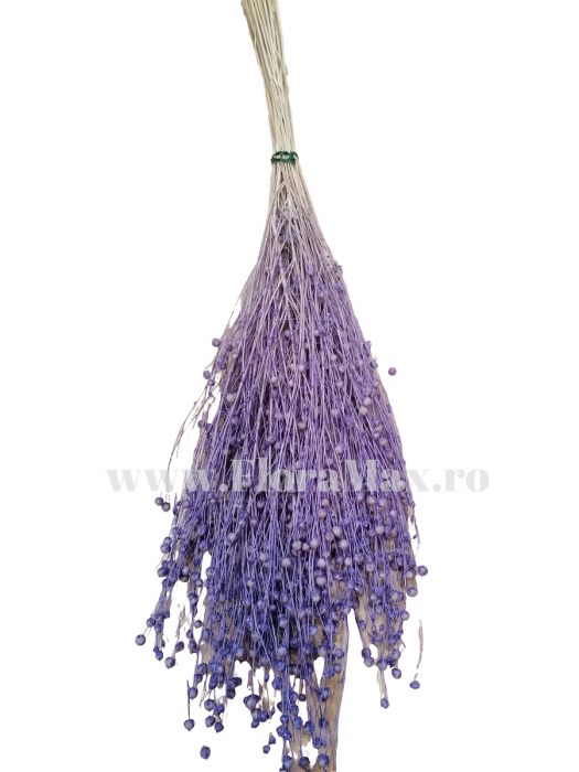 In ( Lino ) LAVANDA 100 grame [1]