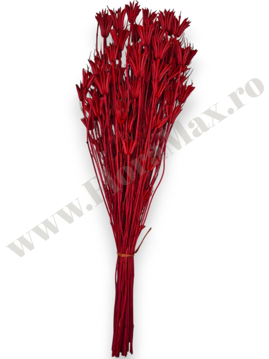 Nigella Orientalis ROSU 100 grame [2]