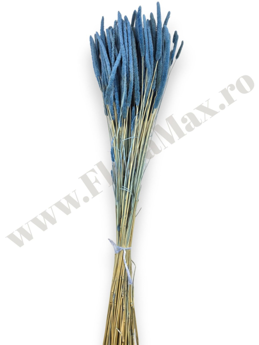 phleum-100g-calitate-premium-flori-uscate-ieftine.jpg [3]