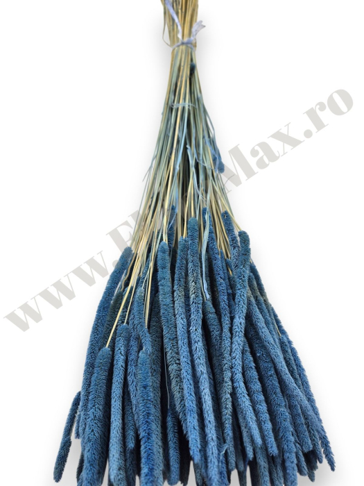 phleum-100g-calitate-premium-flori-uscate-ieftine.jpg [2]