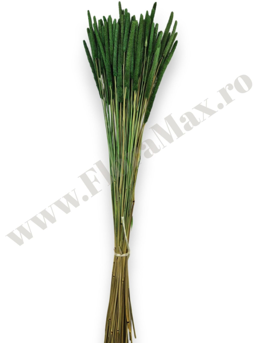 phleum-100g-calitate-premium-flori-uscate-ieftine.jpg [3]