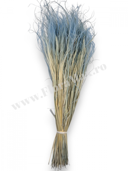 Stipa Flori Uscate Naturale [3]