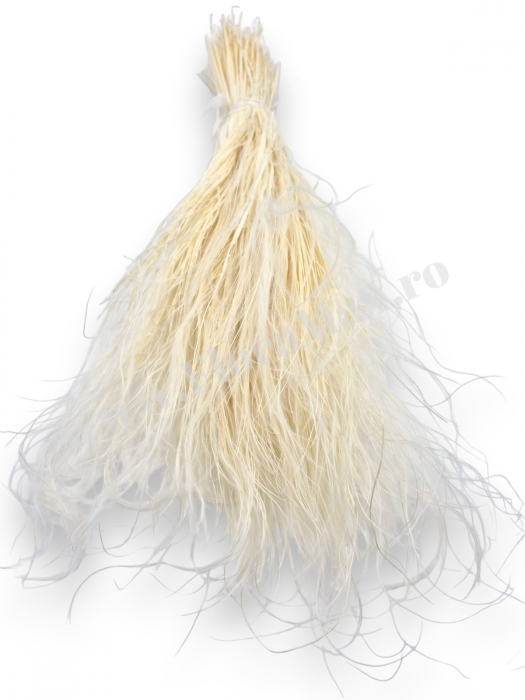 Stipa Flori Uscate Naturale [2]