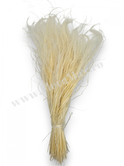 Stipa Flori Uscate Naturale [3]