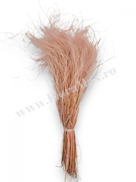 Stipa Flori Uscate Naturale [2]