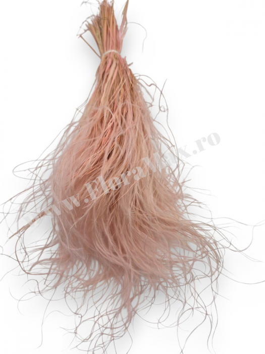 Stipa Flori Uscate Naturale [3]