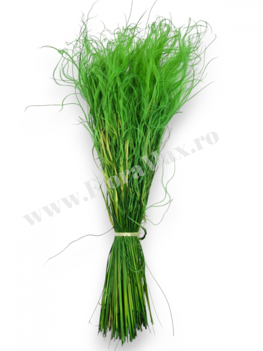 Stipa Flori Uscate Naturale [3]