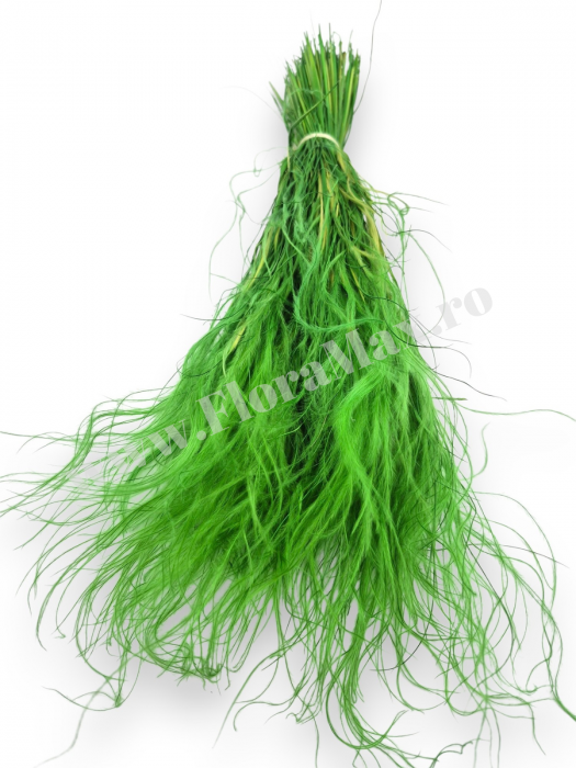 Stipa Flori Uscate Naturale [2]