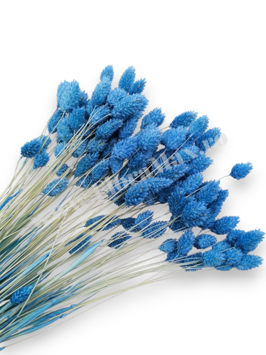 Talaris Uscat – Flori Decorative pentru Aranjamente Florale, Nunti si Botezuri [1]