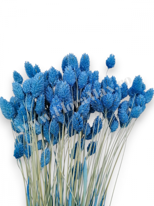 Talaris Uscat – Flori Decorative pentru Aranjamente Florale, Nunti si Botezuri [2]