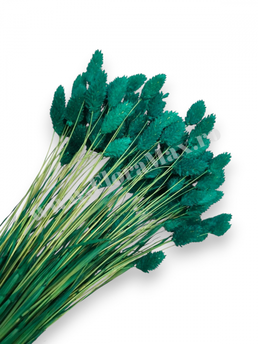 Talaris Uscat – Flori Decorative pentru Aranjamente Florale, Nunti si Botezuri [1]