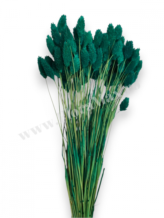 Talaris Uscat – Flori Decorative pentru Aranjamente Florale, Nunti si Botezuri [3]