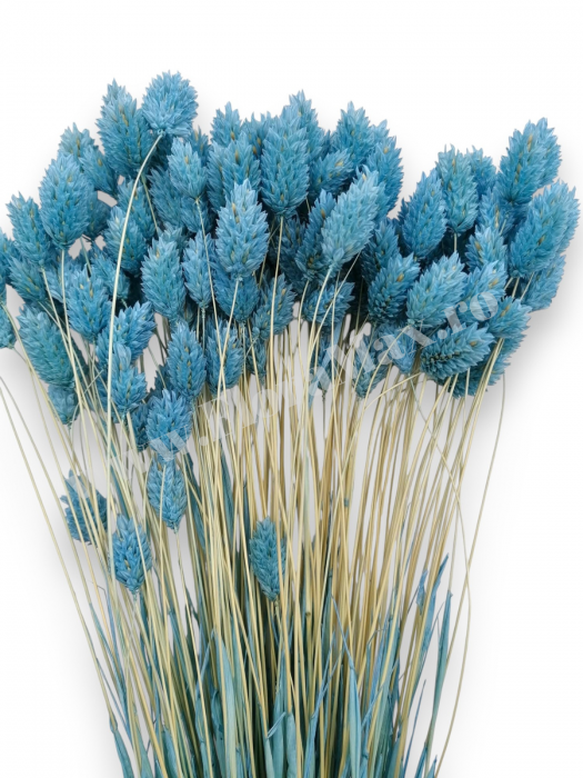 Talaris Uscat – Flori Decorative pentru Aranjamente Florale, Nunti si Botezuri [2]