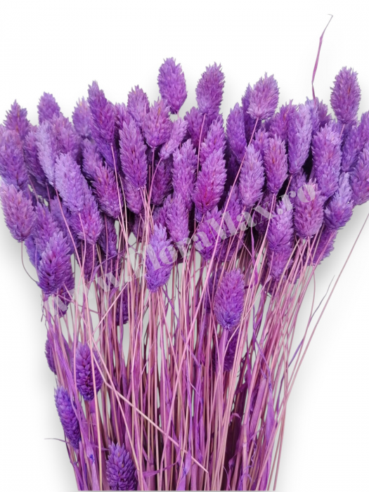 Talaris Uscat – Flori Decorative pentru Aranjamente Florale, Nunti si Botezuri [2]