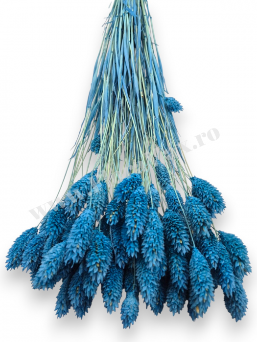 Talaris Uscat – Flori Decorative pentru Aranjamente Florale, Nunti si Botezuri [2]