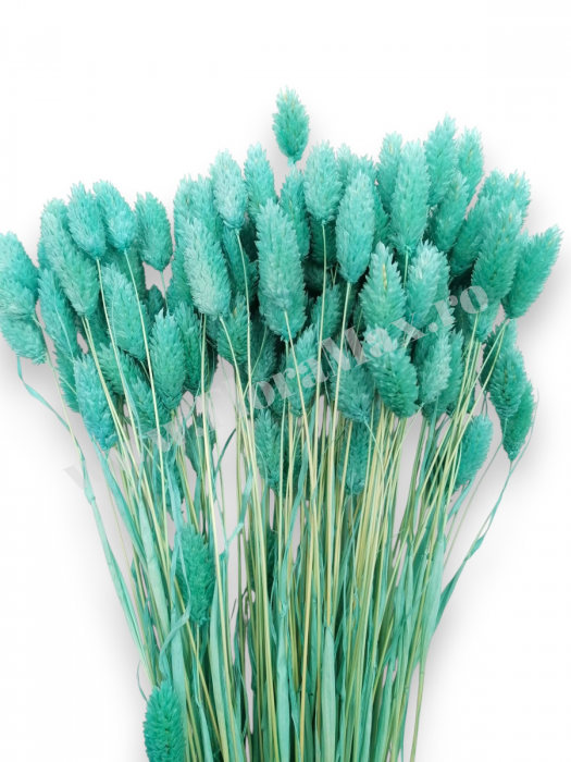 Talaris Uscat – Flori Decorative pentru Aranjamente Florale, Nunti si Botezuri [3]