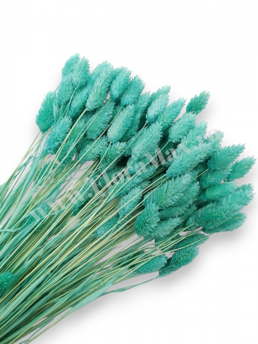 Talaris Uscat – Flori Decorative pentru Aranjamente Florale, Nunti si Botezuri [1]
