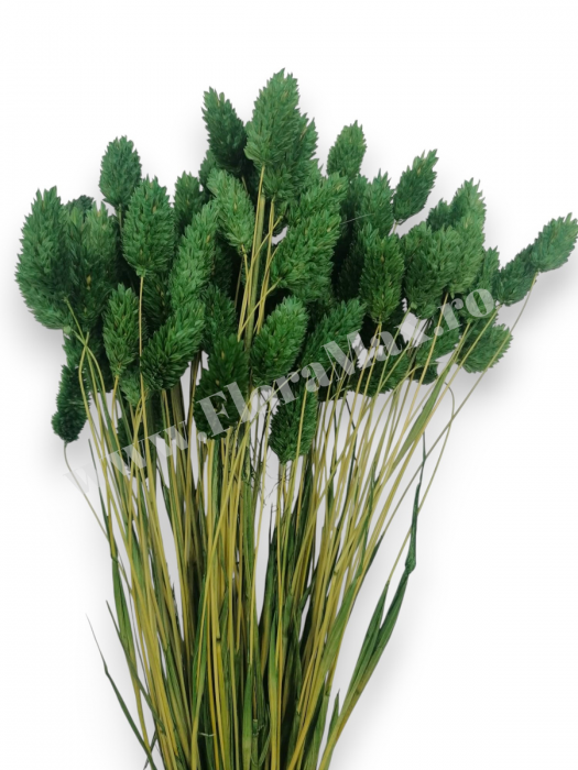 Talaris Uscat – Flori Decorative pentru Aranjamente Florale, Nunti si Botezuri [2]