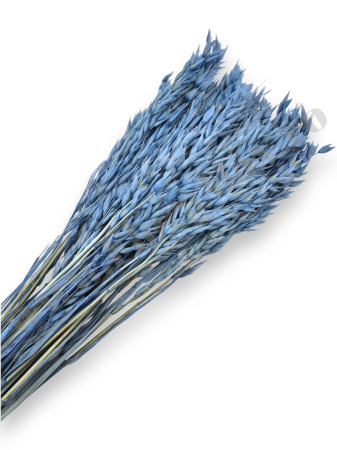 Diverse Flori Uscate - Avena Ovaz flori uscate naturale – buchet decorativ pufos pentru aranjamente florale si decor rustic