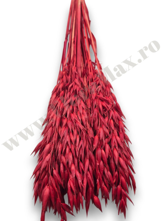 Avena Ovaz flori uscate naturale – buchet decorativ pufos pentru aranjamente florale si decor rustic [2]