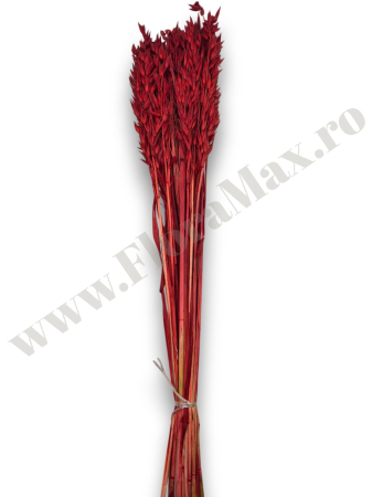 Avena Ovaz flori uscate naturale – buchet decorativ pufos pentru aranjamente florale si decor rustic [1]