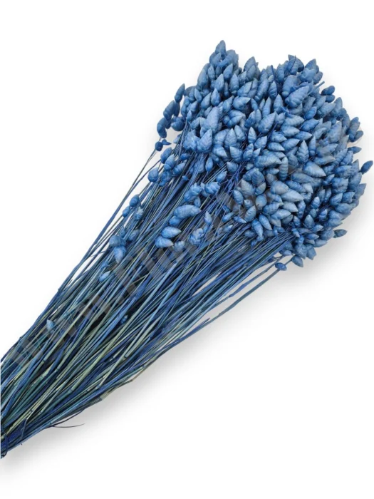 Briza Maxima - briza-maxima-calitate-premium-flori-uscate-ieftine-70g.jpg