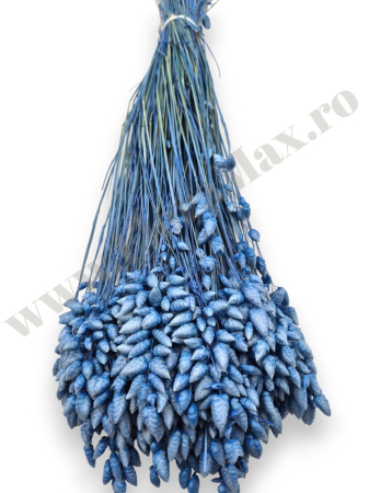 briza-maxima-calitate-premium-flori-uscate-ieftine-70g.jpg [1]