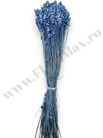 briza-maxima-calitate-premium-flori-uscate-ieftine-70g.jpg [2]