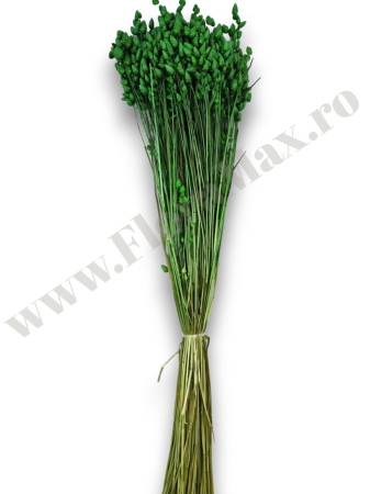 briza-maxima-calitate-premium-flori-uscate-ieftine-70g.jpg [2]