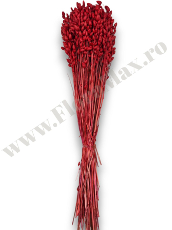 briza-maxima-calitate-premium-flori-uscate-ieftine-70g.jpg [2]