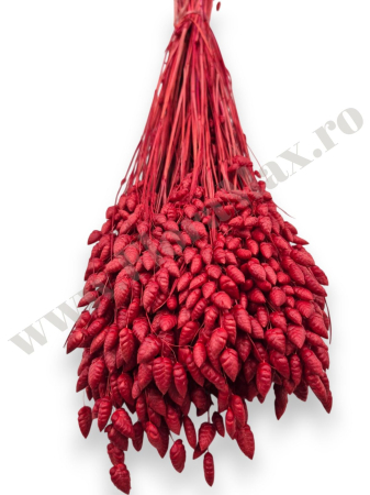 briza-maxima-calitate-premium-flori-uscate-ieftine-70g.jpg [1]