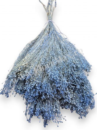 Broom Bloom – flori uscate premium [1]