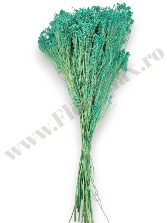 broom-bloom-100g-calitate-premium-invitatii-nunta-botez.jpg [2]