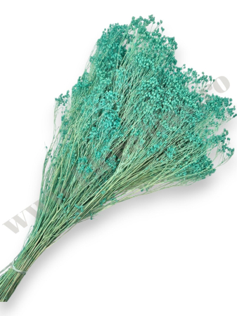 Broom Bloom - broom-bloom-100g-calitate-premium-invitatii-nunta-botez.jpg