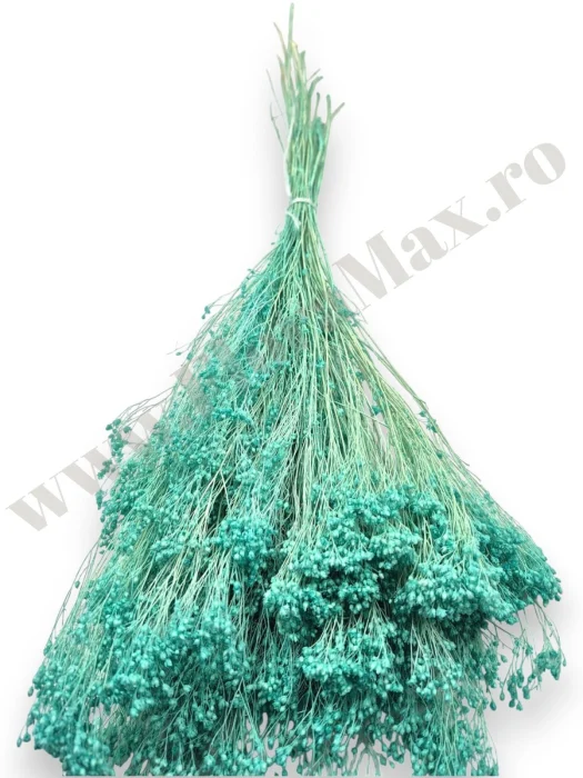 broom-bloom-100g-calitate-premium-invitatii-nunta-botez.jpg [1]