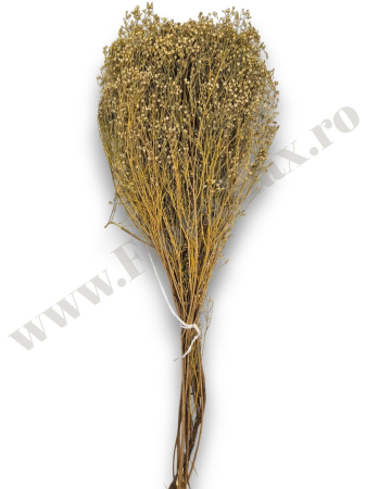 broom-bloom-100g-calitate-premium-invitatii-nunta-botez.jpg [1]