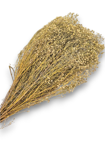 Produse-NOUTATI - broom-bloom-100g-calitate-premium-invitatii-nunta-botez.jpg
